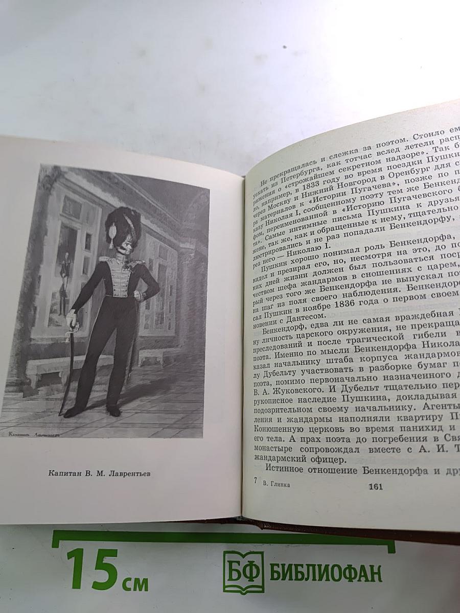 Пушкин и Военная Галерея Зимнего Дворца