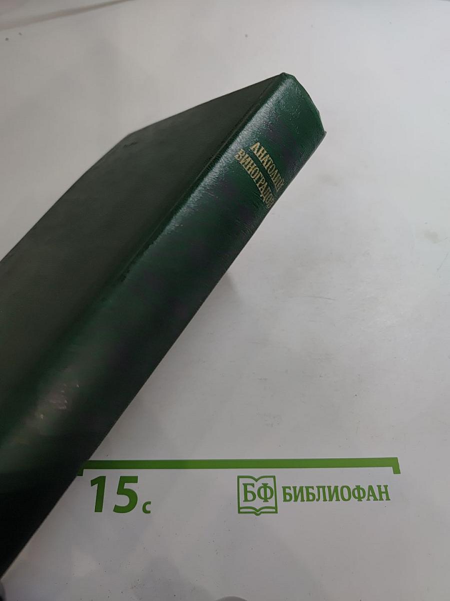 Повесть о братьях Тургеневых. Осуждение Паганини