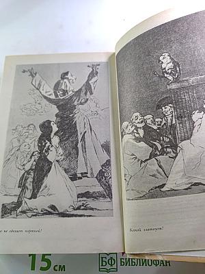 Гойя, или Тяжкий путь познания