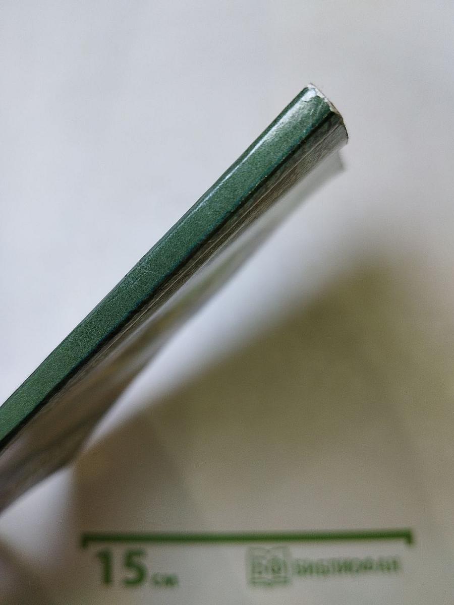 Проспект Максима Горького