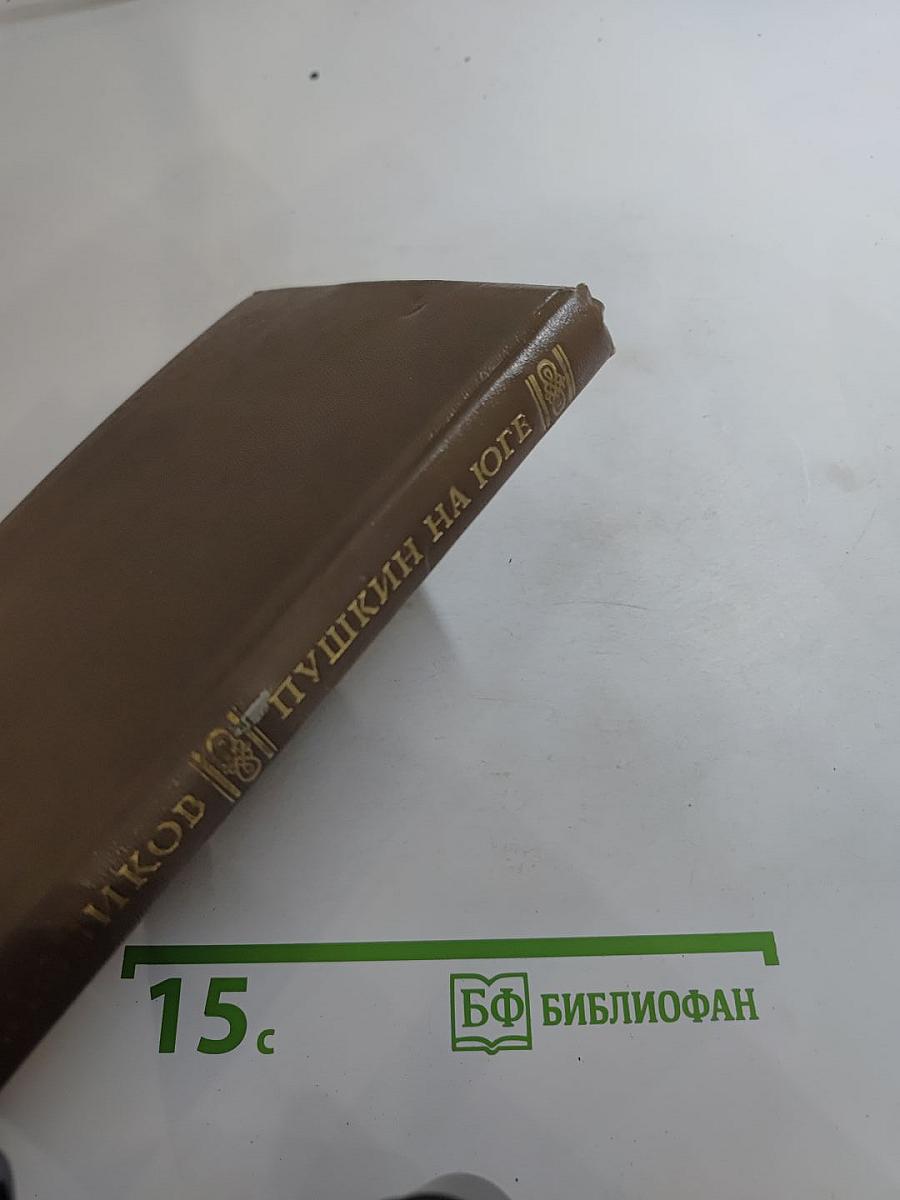 Пушкин на Юге