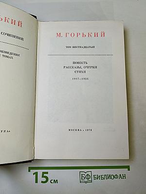 Повесть, рассказы, очерки, стихи. 1917-1924. Том шестнадцатый