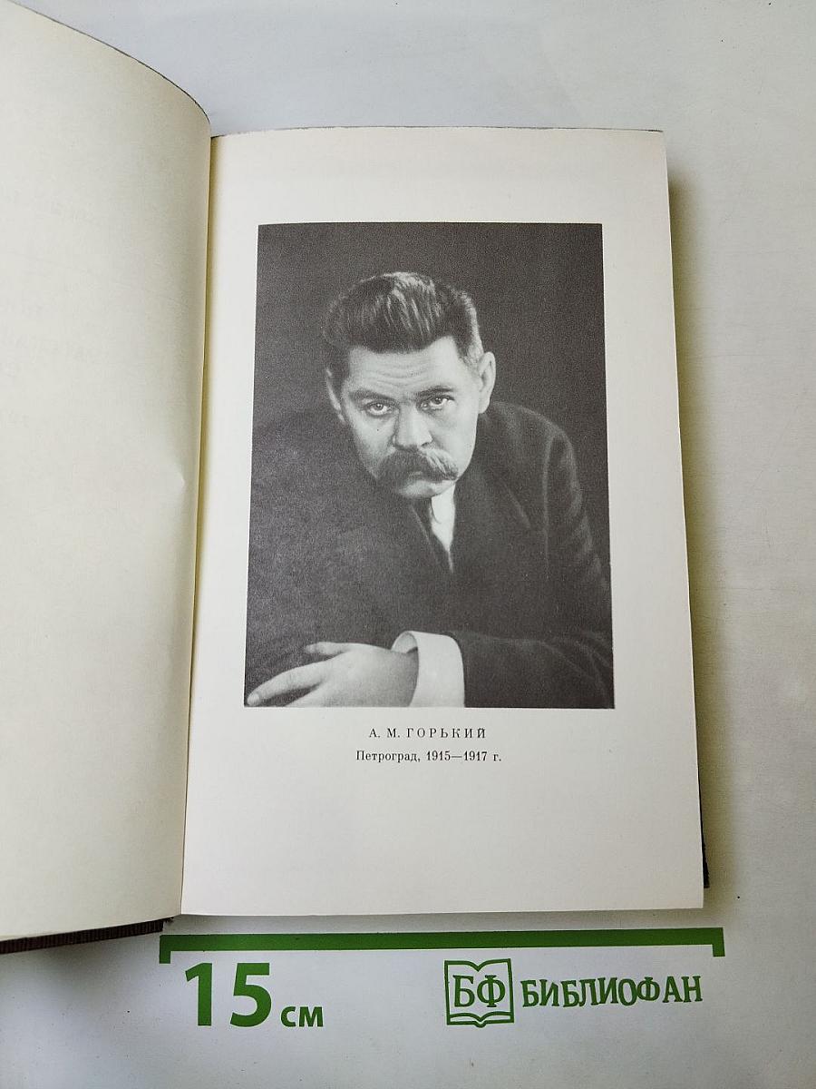 Повесть, рассказы, очерки, стихи. 1917-1924. Том шестнадцатый