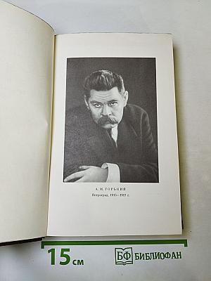 Повесть, рассказы, очерки, стихи. 1917-1924. Том шестнадцатый