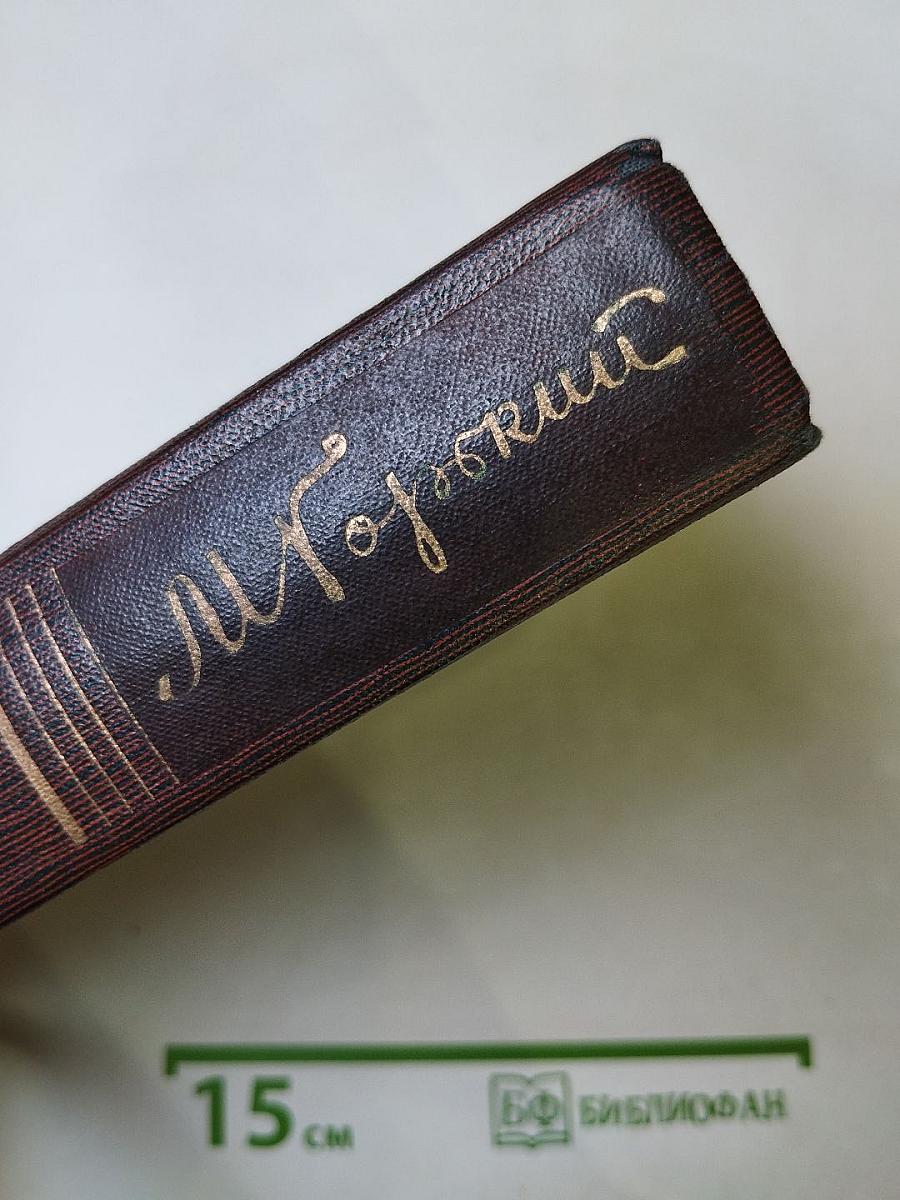 Повесть, рассказы, очерки, стихи. 1917-1924. Том шестнадцатый