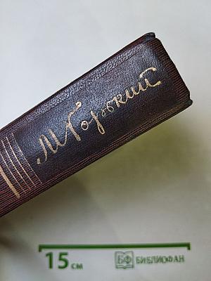 Повесть, рассказы, очерки, стихи. 1917-1924. Том шестнадцатый
