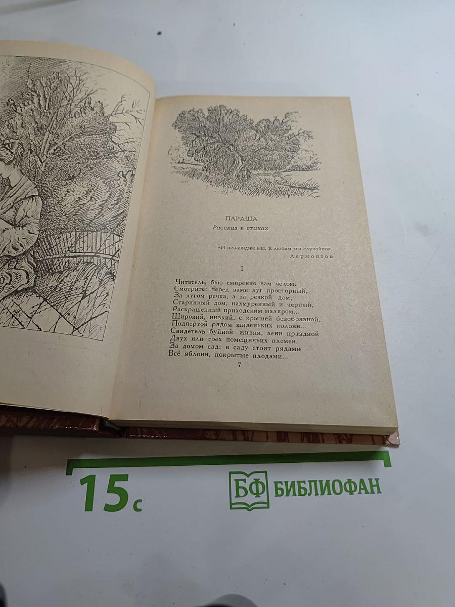 Сочинения: Поэмы, повести, рассказы, из «Литературных и житейских воспоминаний»
