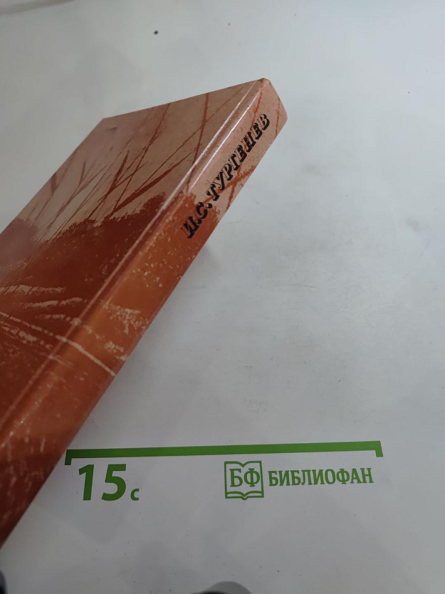 Сочинения: Поэмы, повести, рассказы, из «Литературных и житейских воспоминаний»