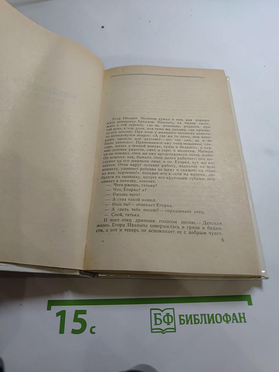 Мещанское счастье. Очерки бурсы