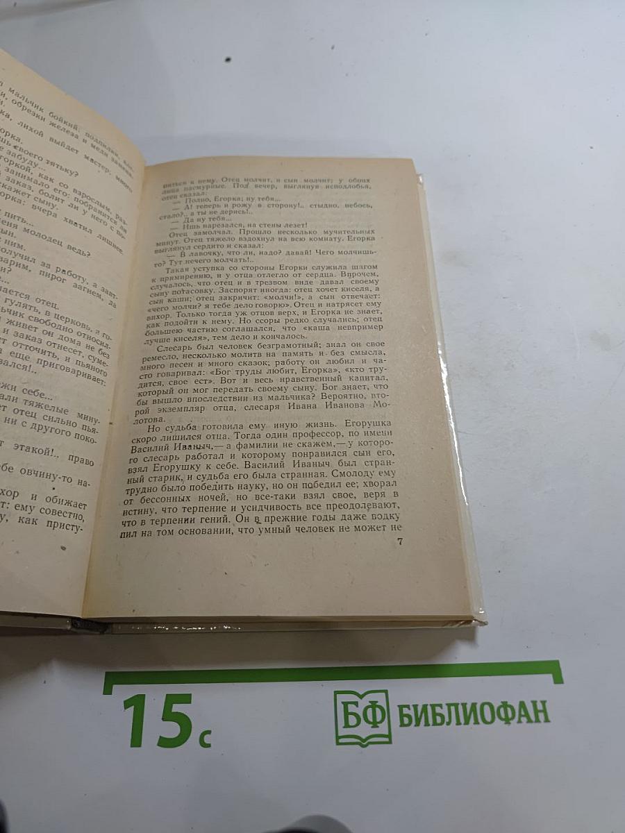 Мещанское счастье. Очерки бурсы
