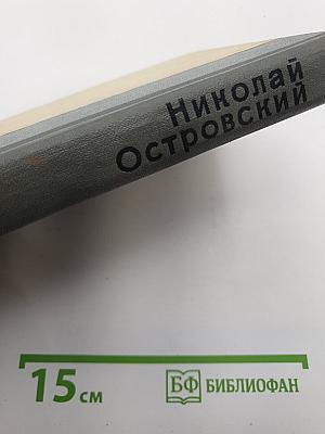 Как закалялась сталь
