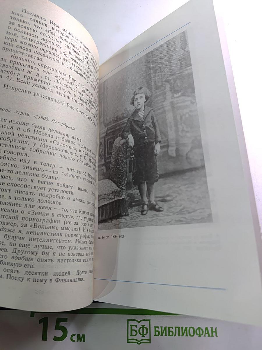 Я лучшей доли не искал... Судьба Александра Блока в письмах, дневниках, воспоминаниях