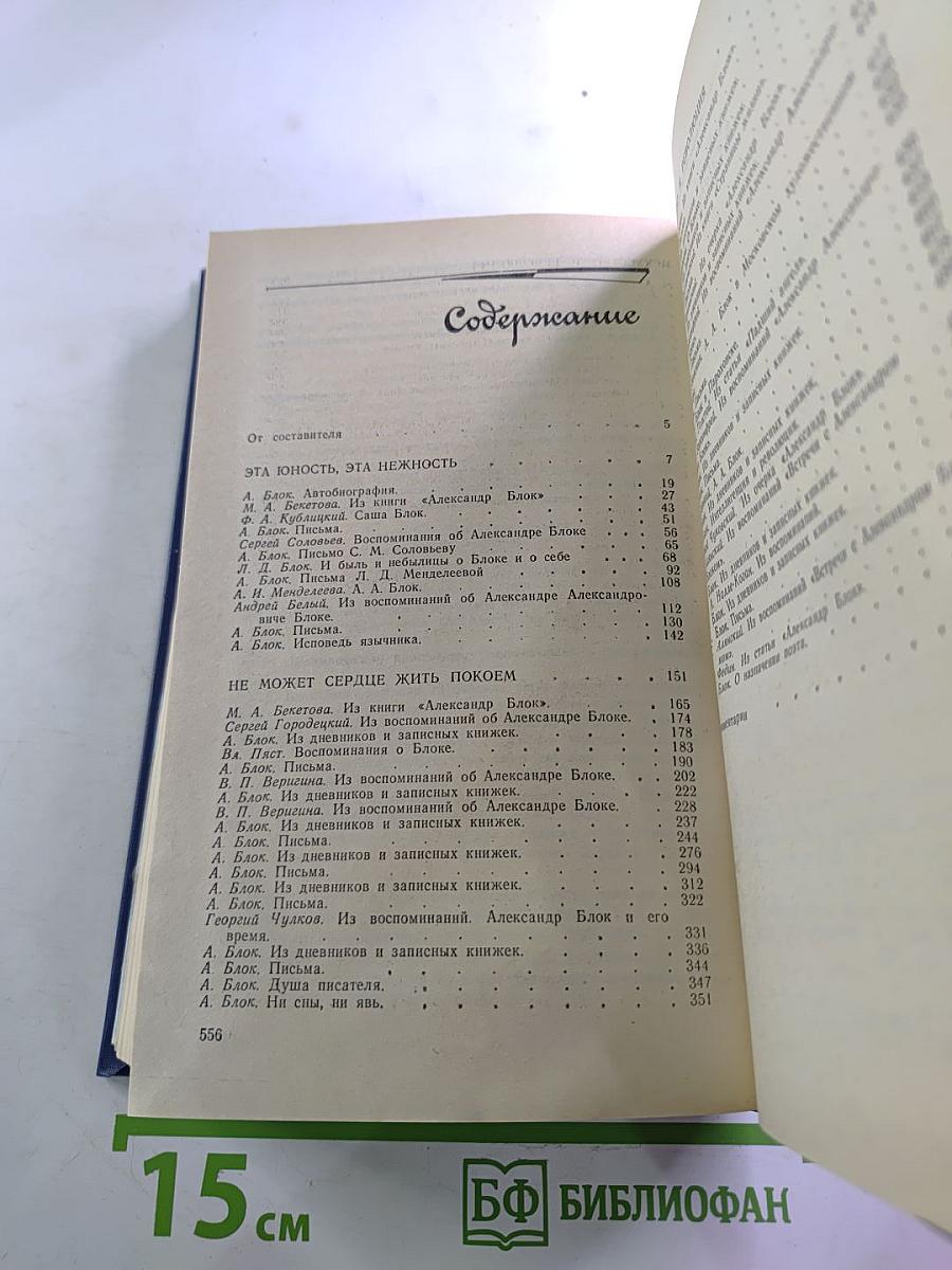 Я лучшей доли не искал... Судьба Александра Блока в письмах, дневниках, воспоминаниях