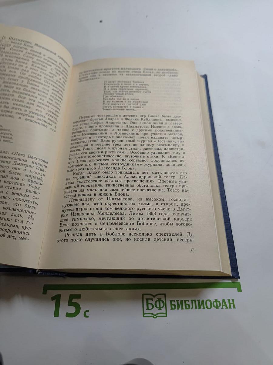 Я лучшей доли не искал... Судьба Александра Блока в письмах, дневниках, воспоминаниях