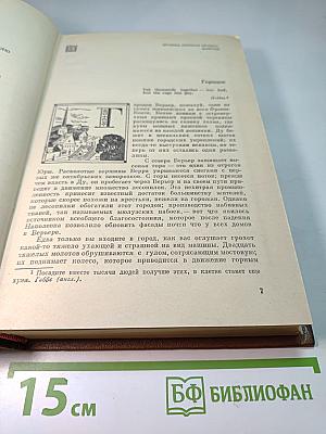 Красное и черное