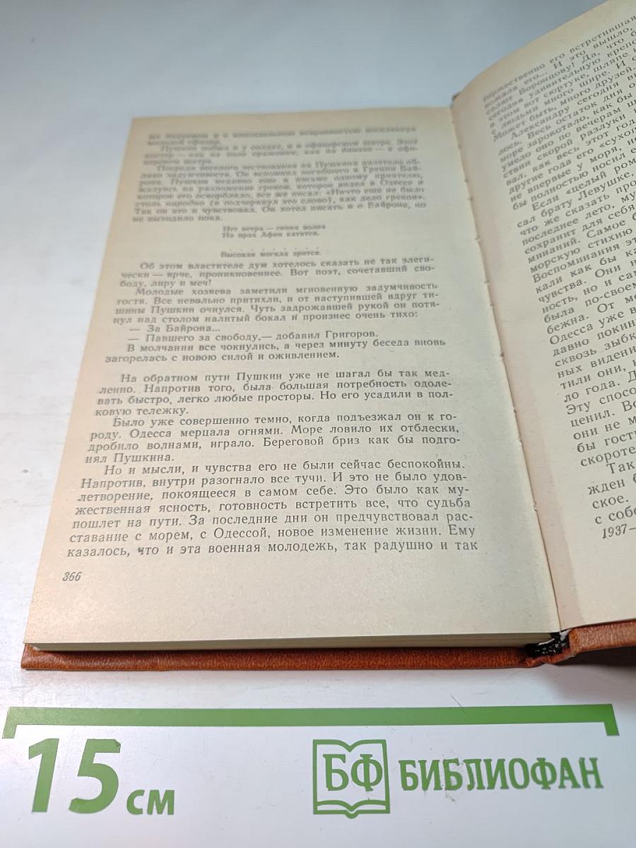 Пушкин на юге