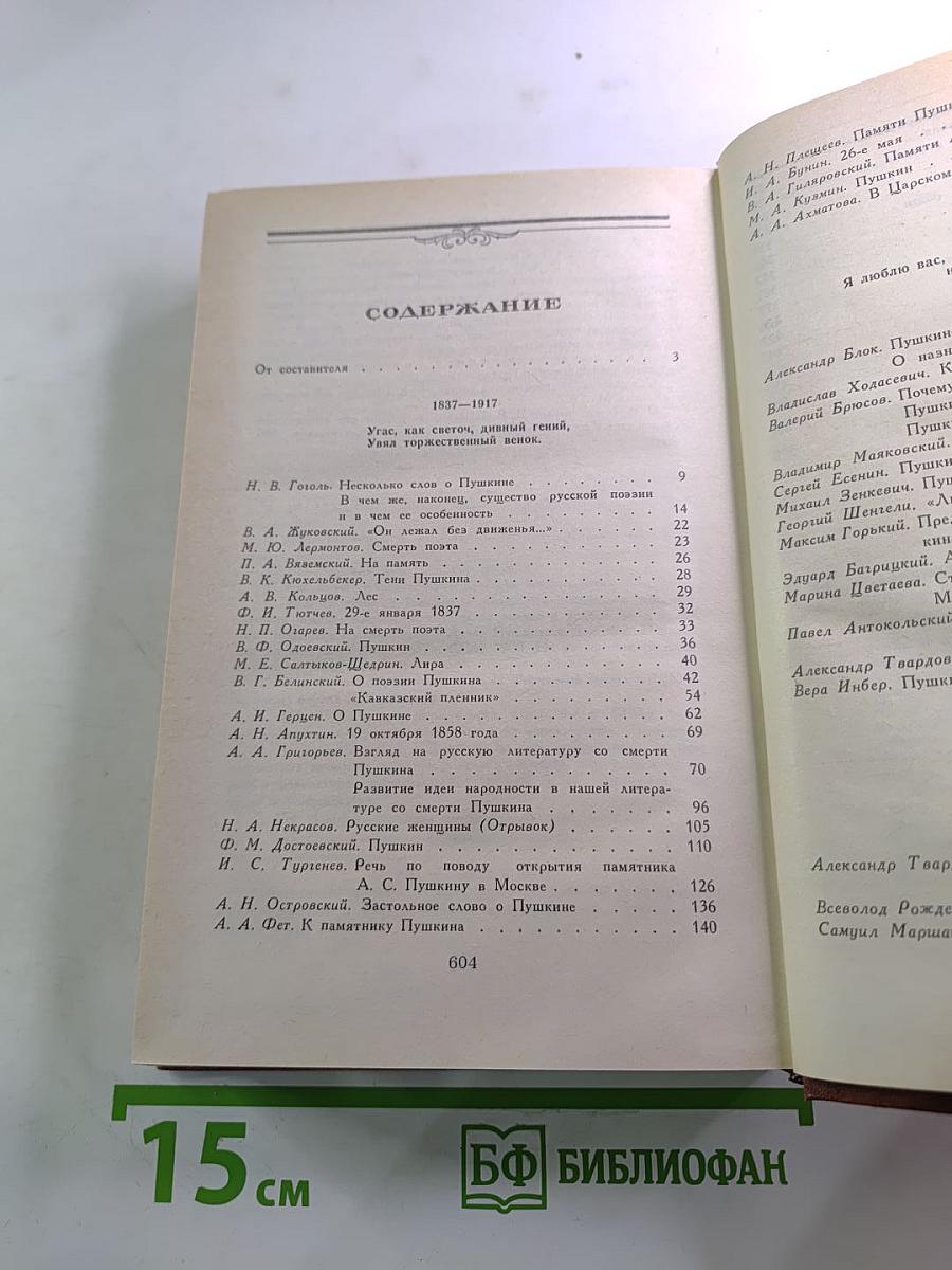 Светлое имя Пушкин