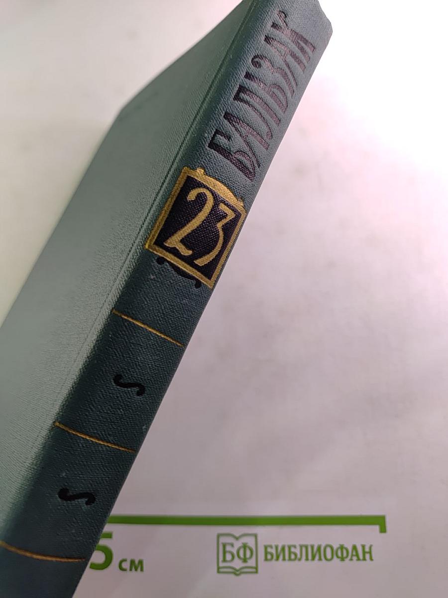 Бальзак. Собрание сочинений в 24 томах. Том 23. Очерки. Письма