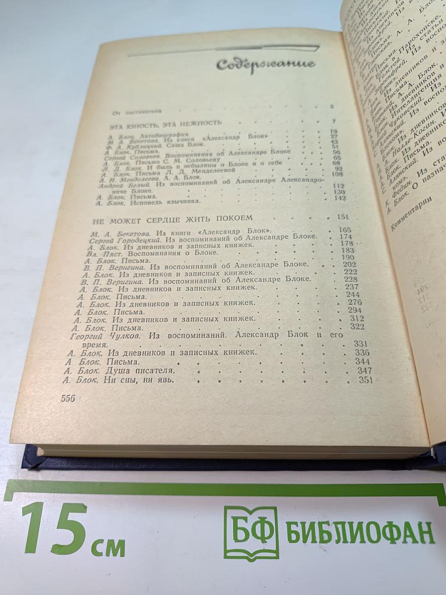 Я лучшей доли не искал... Судьба Александра Блока в письмах, дневниках, воспоминаниях