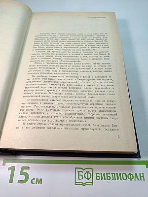 Я лучшей доли не искал... Судьба Александра Блока в письмах, дневниках, воспоминаниях