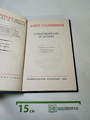 Давид Гурамишвили: Стихотворения и поэмы