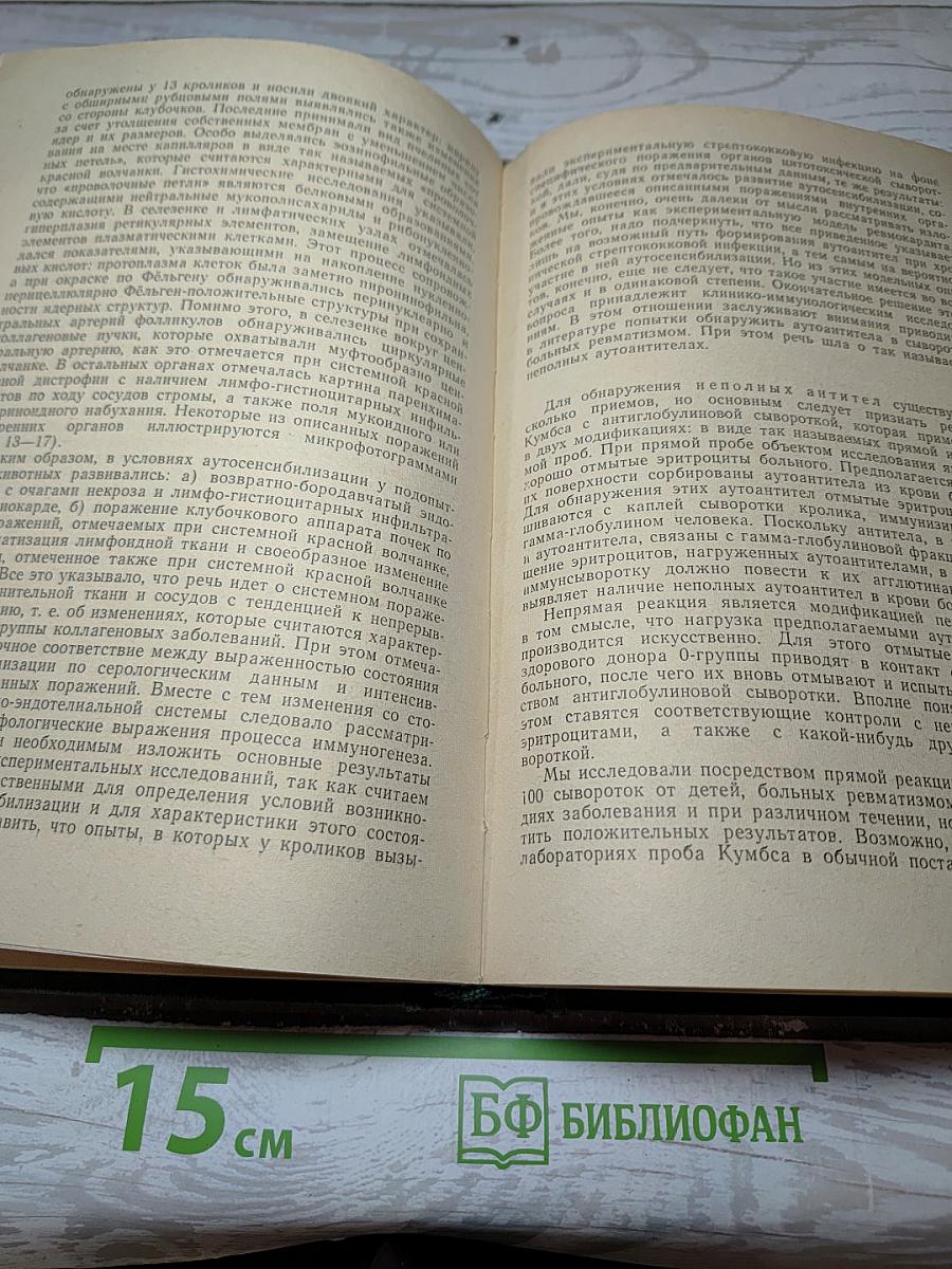 Иммунология ревматизма