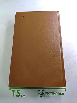 Слово и дело. Роман-хроника времен Анны Иоанновны. Книга 2: Мои любезные конфиденты