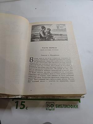 Г. П. Данилевский. Беглые в Новороссии. Воля. Княжна Тараканова