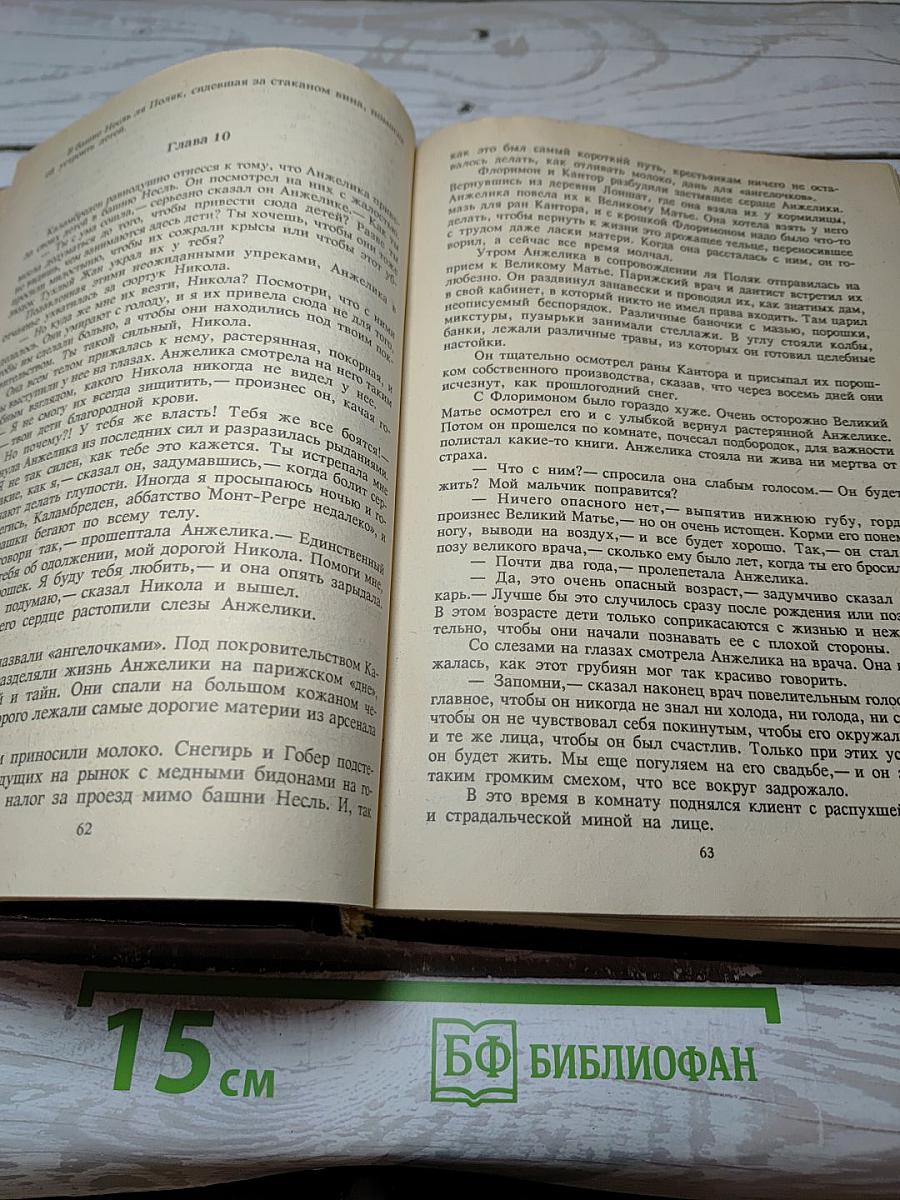 Анжелика. Путь в Версаль. Анжелика и Король