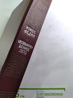 Необыкновенное лето