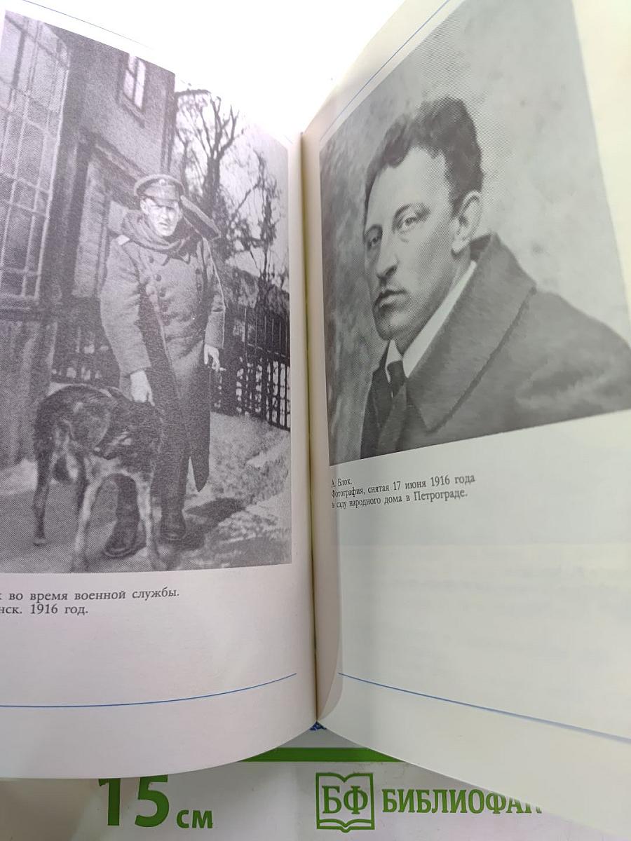 Я лучшей доли не искал... Судьба Александра Блока в письмах, дневниках, воспоминаниях