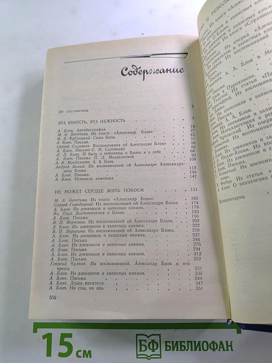 Я лучшей доли не искал... Судьба Александра Блока в письмах, дневниках, воспоминаниях