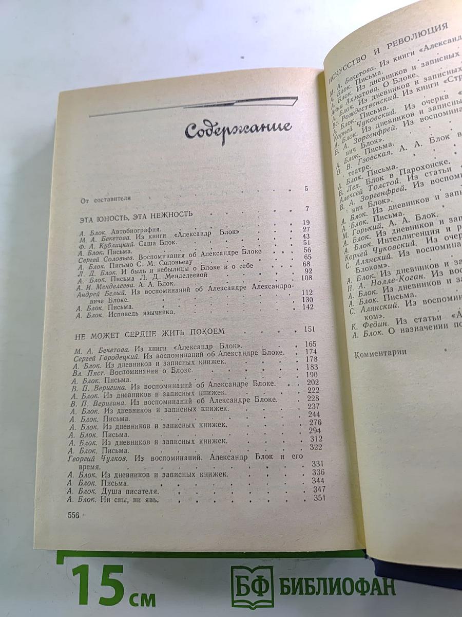 Я лучшей доли не искал... Судьба Александра Блока в письмах, дневниках, воспоминаниях