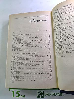Я лучшей доли не искал... Судьба Александра Блока в письмах, дневниках, воспоминаниях