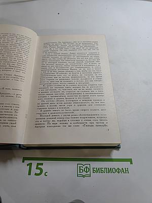 Анна Каренина. Роман в восьми частях (Собрание сочинений в четырнадцати томах. Том девятый)