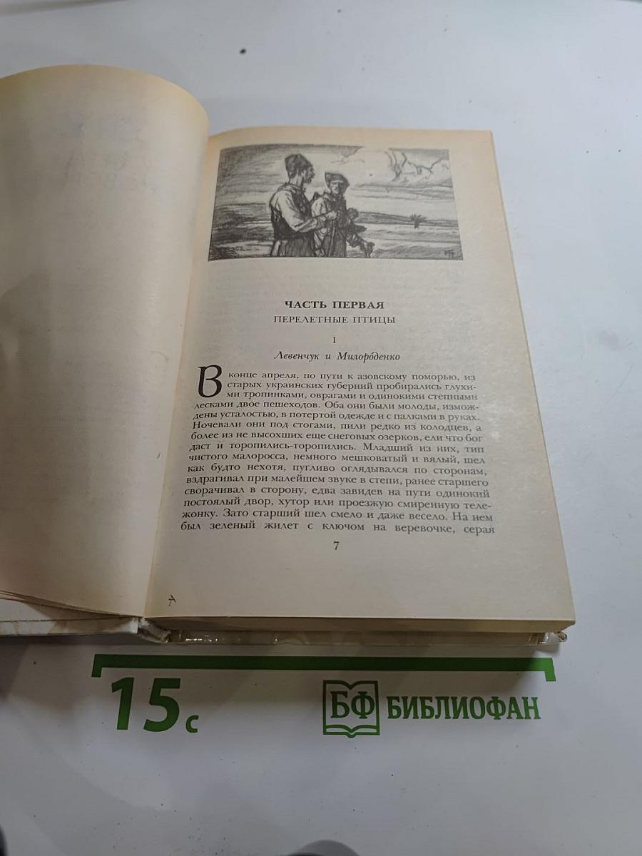 Беглые в Новороссии. Воля. Княжна Тараканова