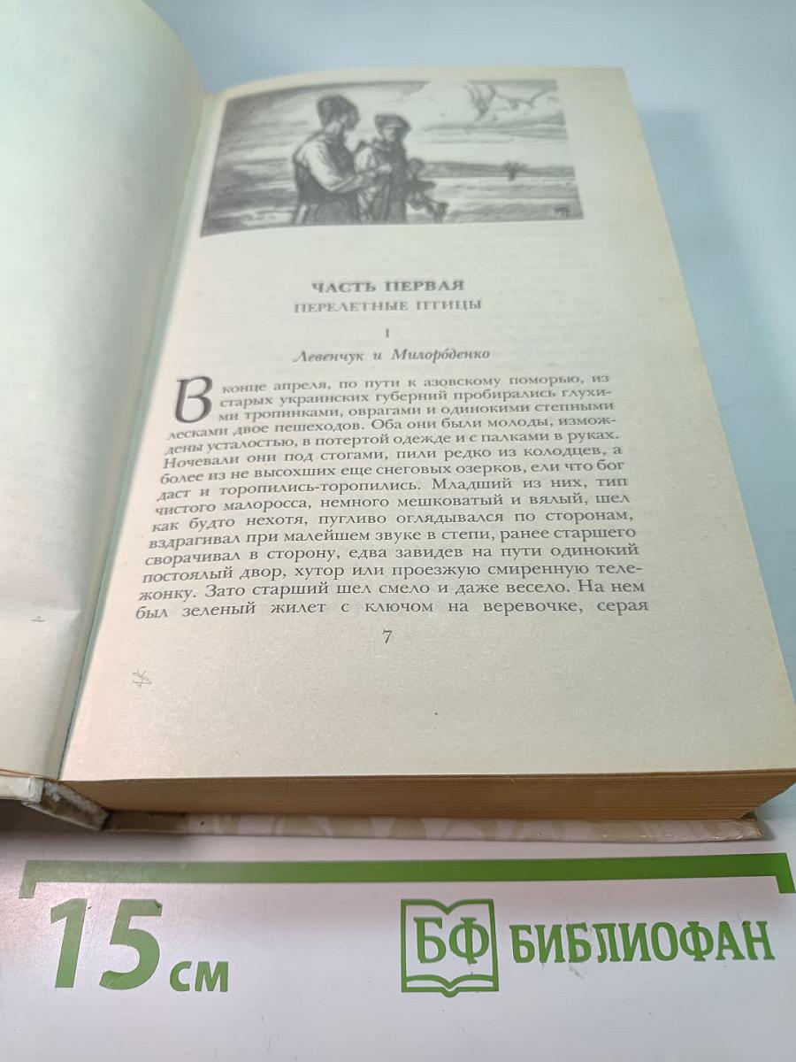 Беглые в Новороссии. Воля. Княжна Тараканова