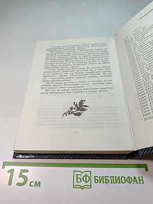 Фонтанный дом