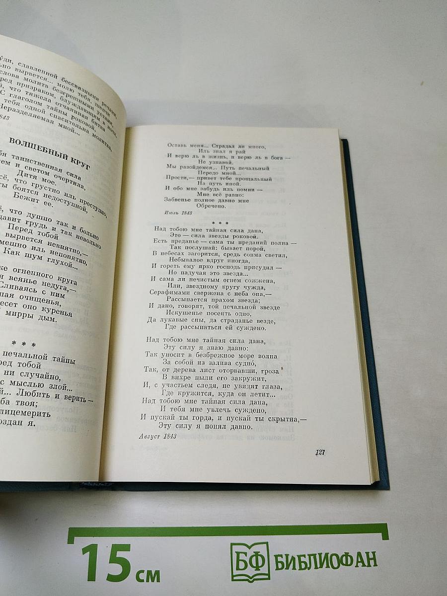 Одиссея последнего романтика