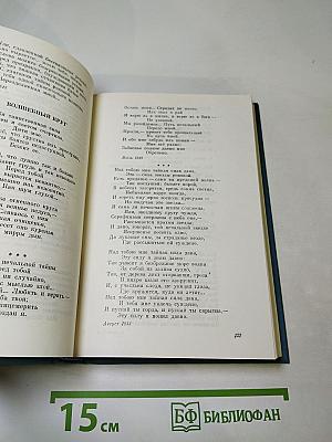 Одиссея последнего романтика