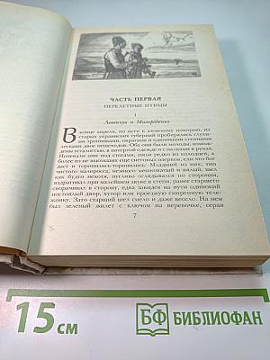 Беглые в Новороссии. Воля. Княжна Тараканова