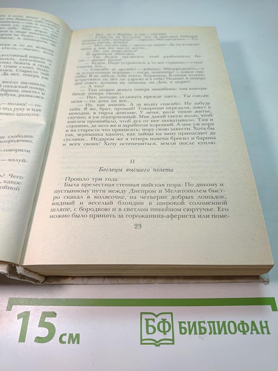 Беглые в Новороссии. Воля. Княжна Тараканова