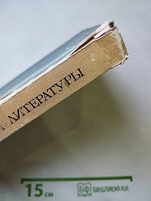 В мире русской литературы 5 класс