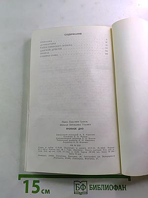 Тройное дно