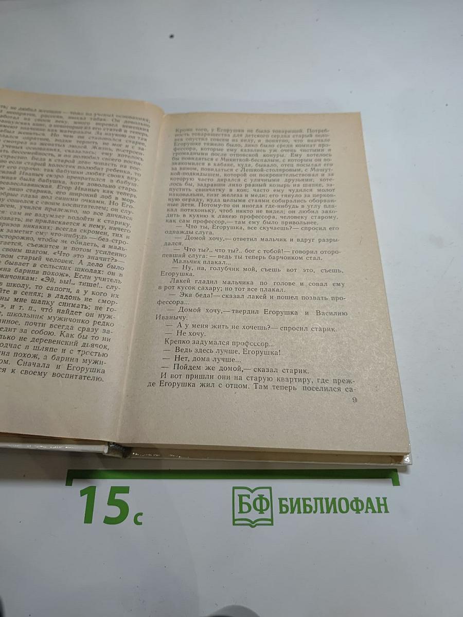 Мещанское счастье. Очерки бурсы