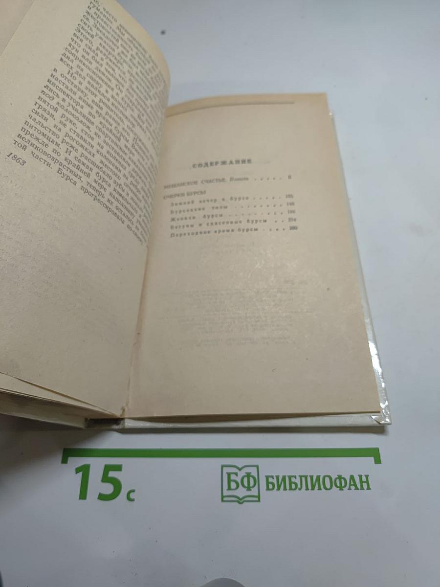 Мещанское счастье. Очерки бурсы