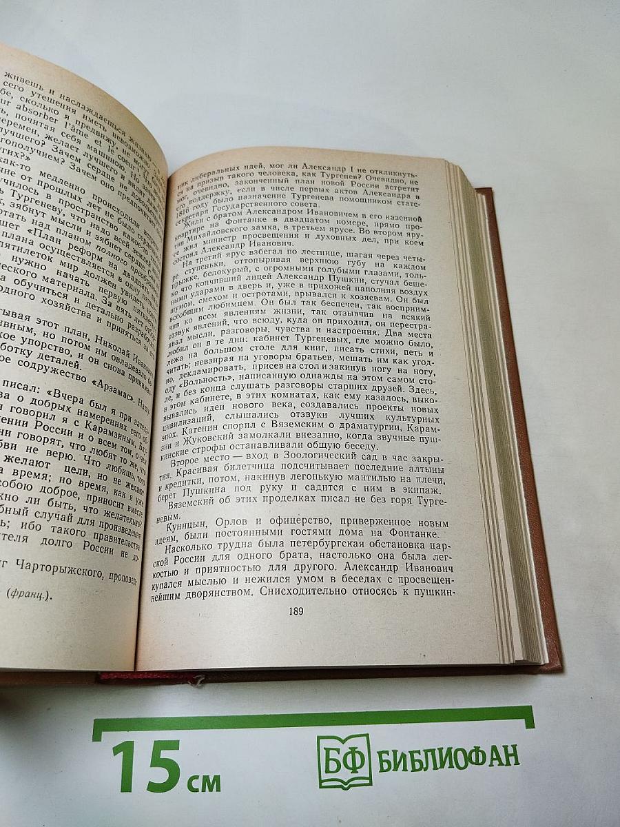Повесть о братьях Тургеневых. Осуждение Паганини