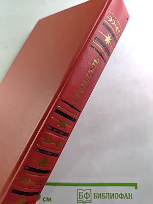 Итальянские хроники. Жизнь Наполеона