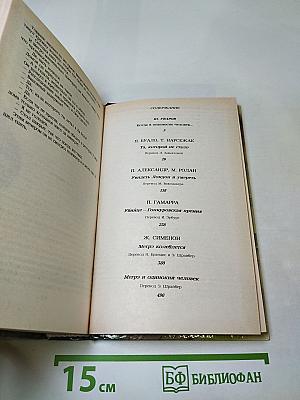 Современный французский детективный роман