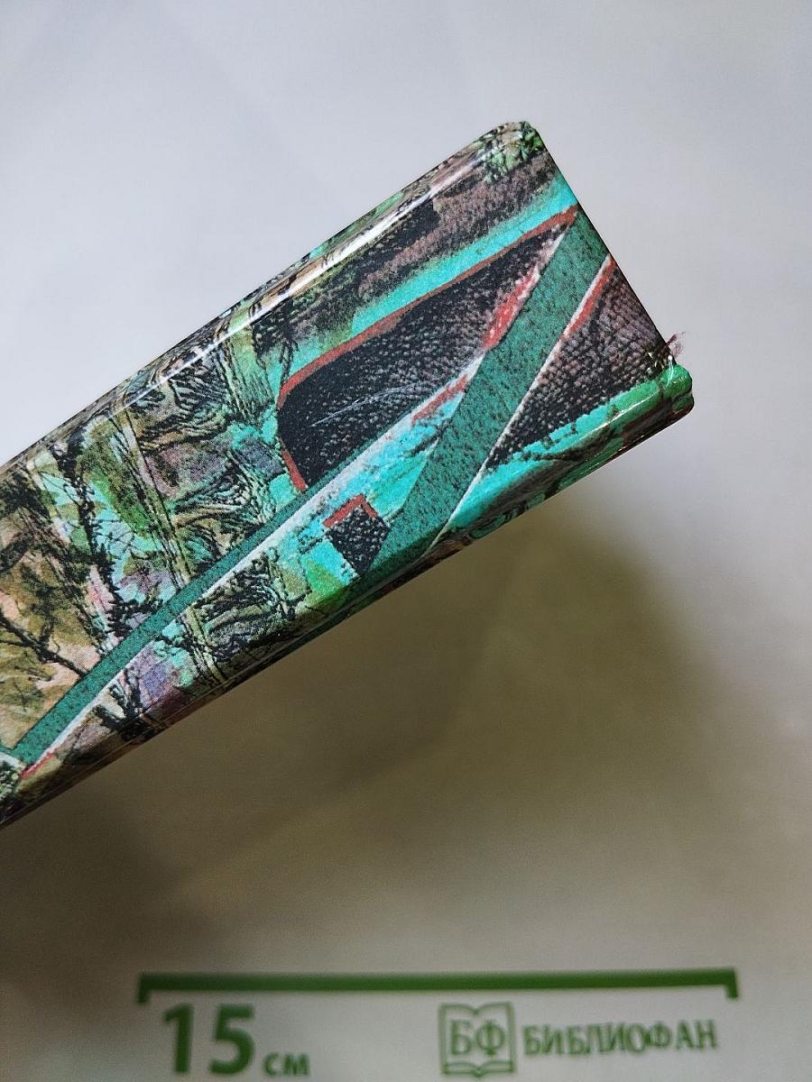 Современный французский детективный роман